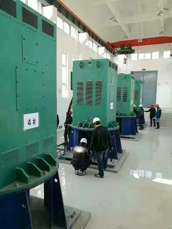 梅州某污水处理厂使用我厂的立式高压电机安装现场现货销售